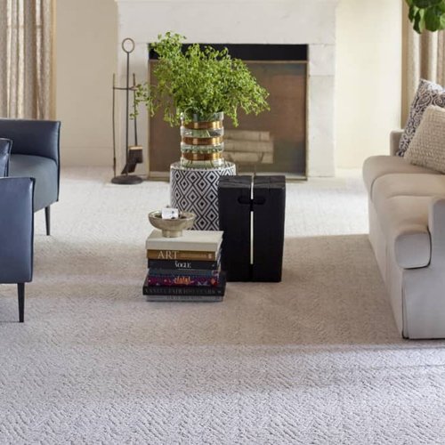 Living Room Pattern Carpet - Lexington Paint & Flooring in Lexington, SC